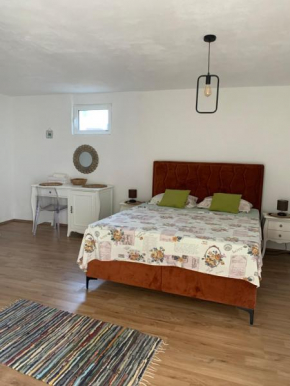 Cozy apartment in center + free parking